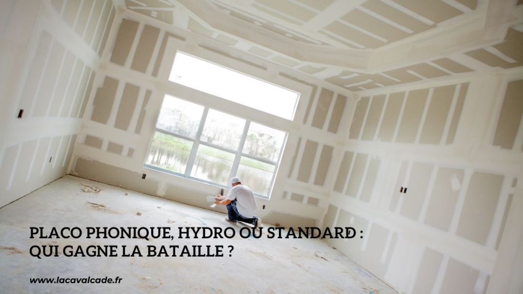 Placo phonique, hydro ou standard : qui gagne la bataille ?