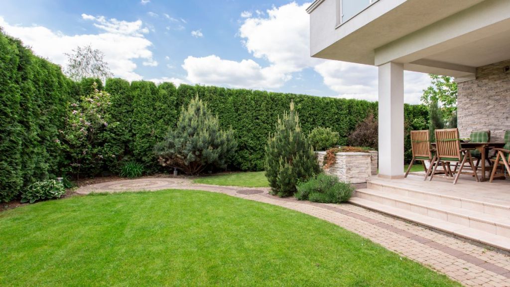 Marre des regards indiscrets de vos voisins? Ce truc naturel fait le job mieux qu’un&nbsp;mur