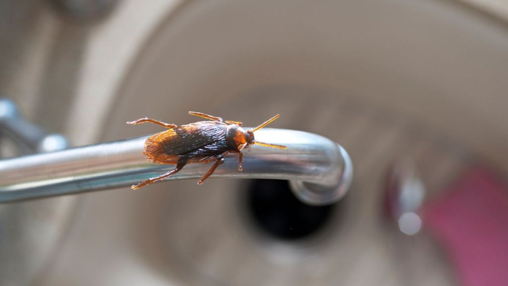 Il a traversé votre salon comme s’il était chez lui.