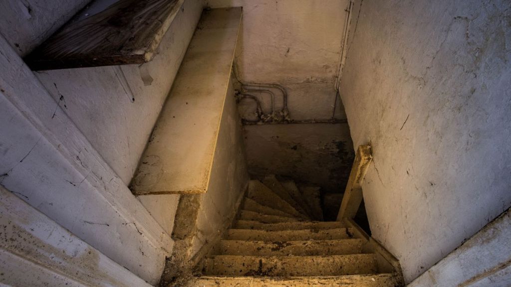 Vous avez une cave ? Voici comment en faire une machine à gagner de la place