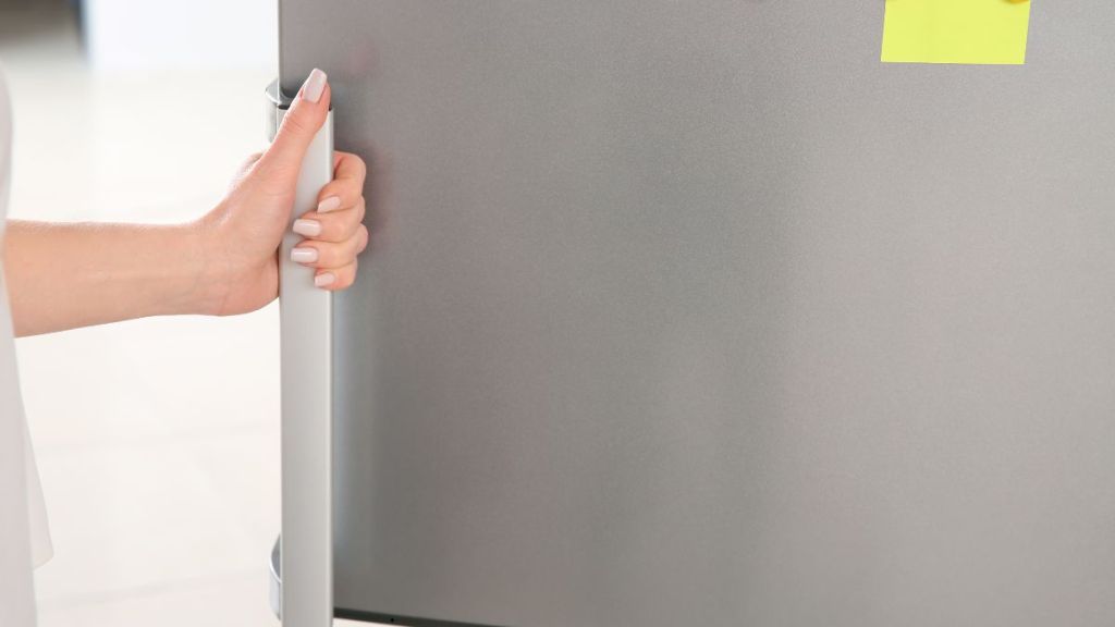 Pourquoi ces Français cachent du sel dans leur frigo ?