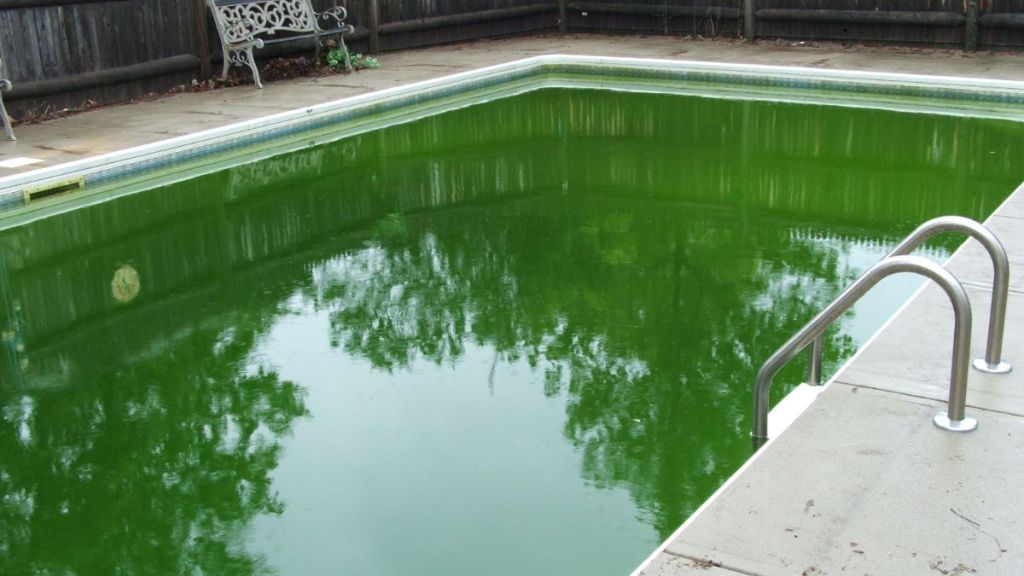 Une astuce de grand-mère pour une eau cristalline ? Elle marche encore en&nbsp;2025