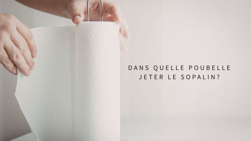 Dans quelle poubelle jeter le&nbsp;sopalin?